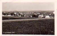 NÖ: Gruß aus Groß Siegharts  1939  Fotoansicht